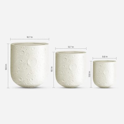 MoonGlow - (3 Sizes)