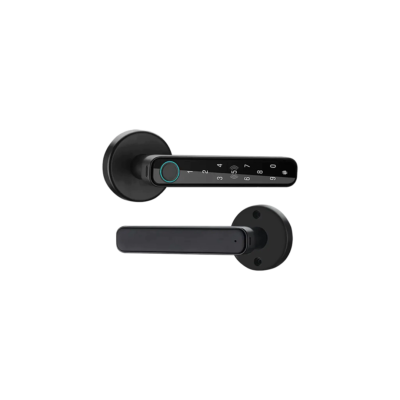 Smart Handle Door Lock