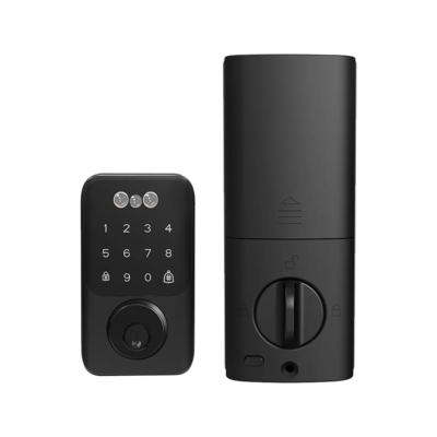 Bluetooth Smart AI Deadbolt Door Lock | Face & Palm Vein Unlock
