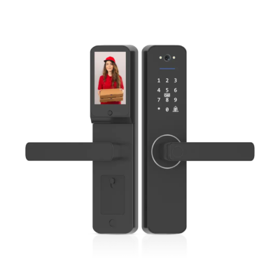 Matt Door Lock with Video Door Bell
